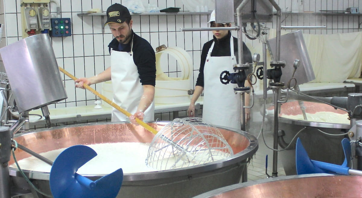 Dalla Caldaia alla Tavola: Il Viaggio del Latte nel Caseificio Beato Marco