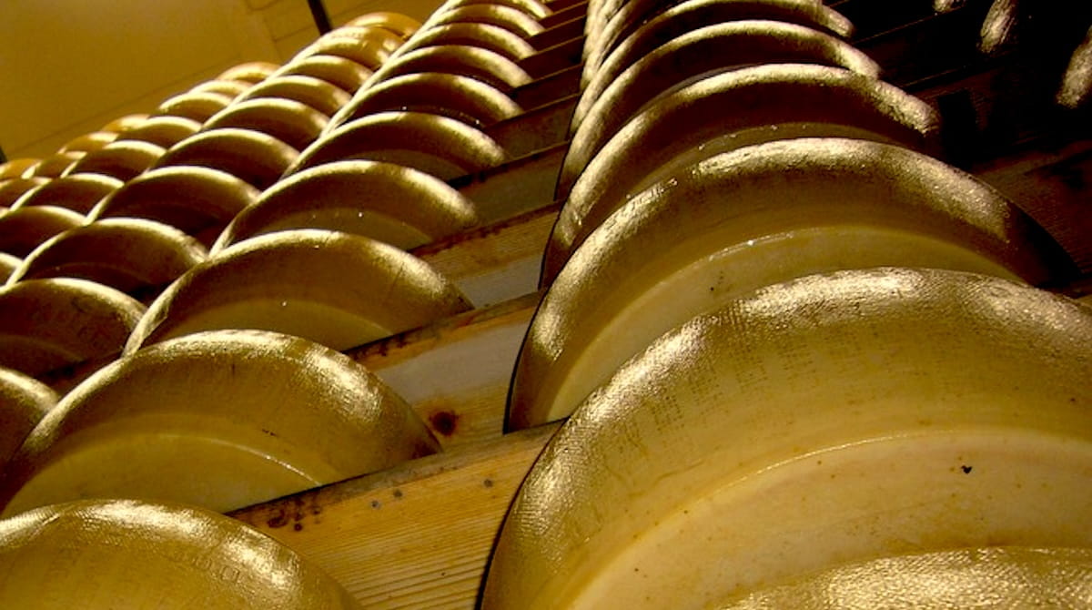 Dal Medioevo alla Montagna: L'Epopea del Parmigiano Reggiano