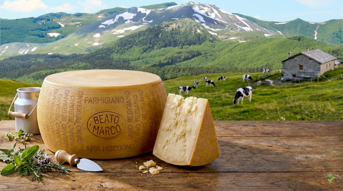 Parmigiano Reggiano di Montagna: perché il segreto è a Lama Mocogno