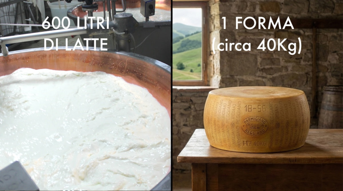 40 Kg di Eccellenza: Quanto pesa (e quanto vale) una forma di Parmigiano Reggiano?
