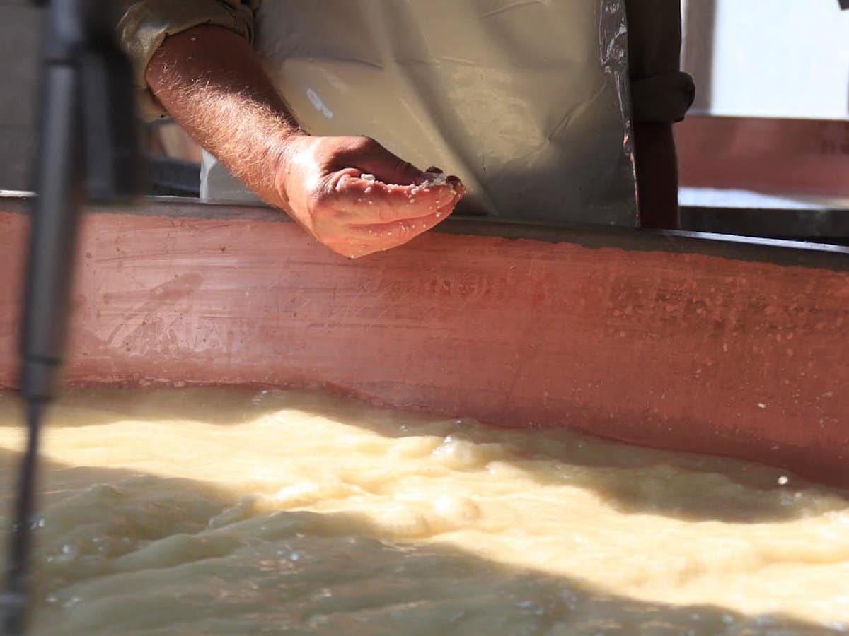 Fasi di lavorazione del Parmigiano Reggiano