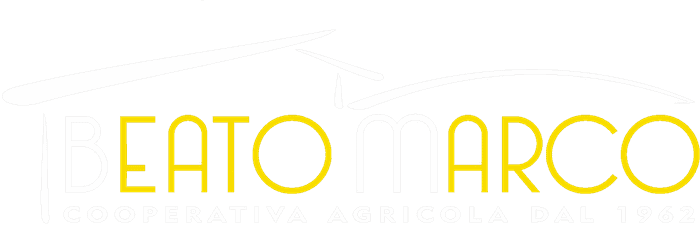 𝗖𝗮𝘀𝗲𝗶𝗳𝗶𝗰𝗶𝗼 𝗕𝗲𝗮𝘁𝗼 𝗠𝗮𝗿𝗰𝗼